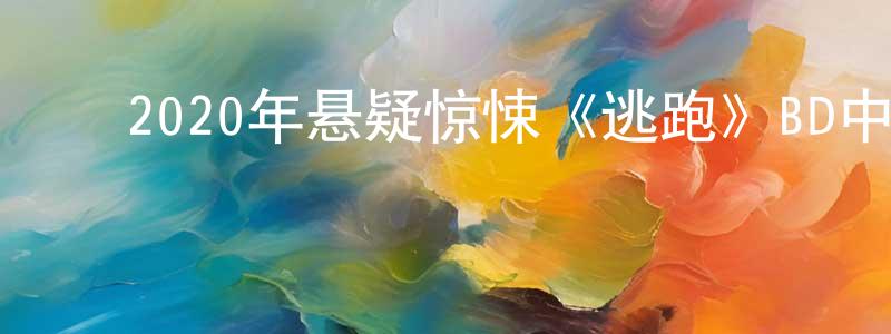 陈美兰的动漫综艺大全,2020年悬疑惊悚《逃跑》BD中英双字幕迅雷下载_电影天堂